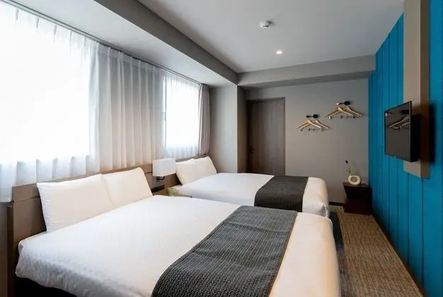 Superior İki Ayrı Yataklı Oda, Sigara İçilmez (Type A)