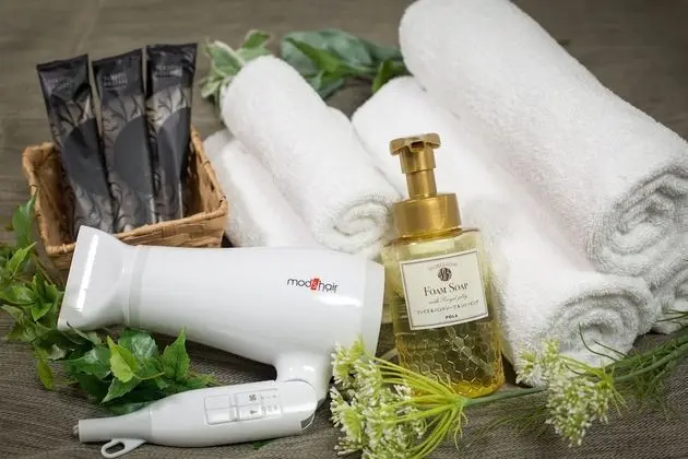 Deluxe İki Ayrı Yataklı Oda (with Garden)