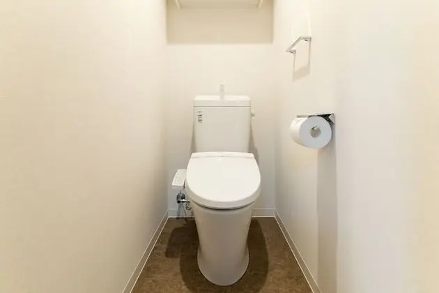 Superior Tek Büyük Yataklı Oda, Sigara İçilmez (with Chair Bed)