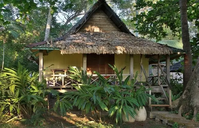 Traditional Villa (Yellow Orchid)