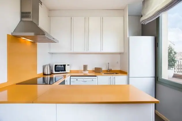 Panoramic Çatı Katı Süiti (Penthouse), 1 Yatak Odası, Teras