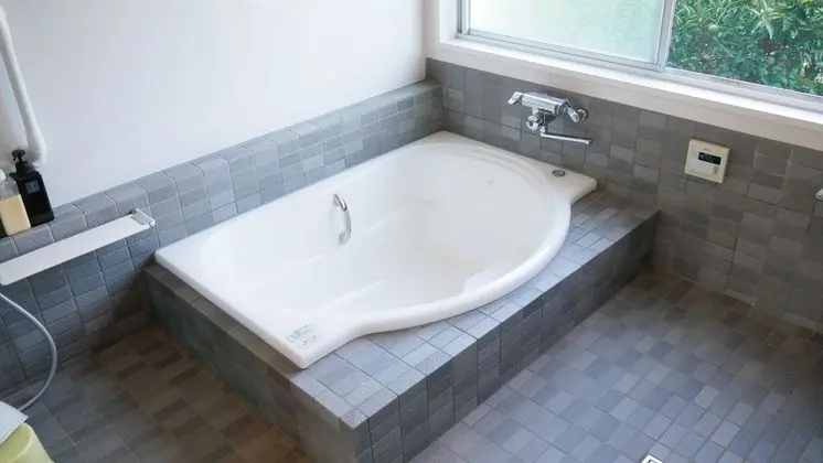 Traditional Üç Kişilik Oda, Ortak Banyo (Japanese Style)