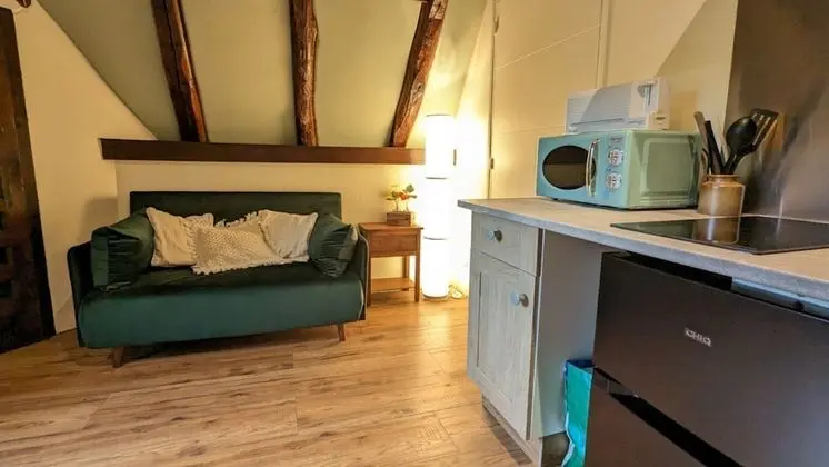 Traditional Stüdyo Süit, 1 Çift Kişilik Yatak, Özel Banyo, Kısmi Göl Manzaralı