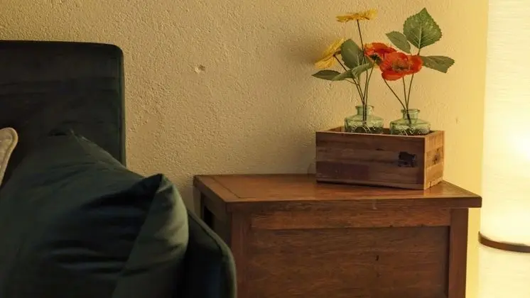 Traditional Stüdyo Süit, 1 Çift Kişilik Yatak, Özel Banyo, Kısmi Göl Manzaralı