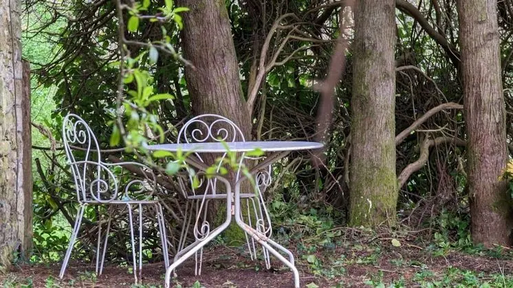Traditional Stüdyo Süit, 1 Çift Kişilik Yatak, Özel Banyo, Kısmi Göl Manzaralı