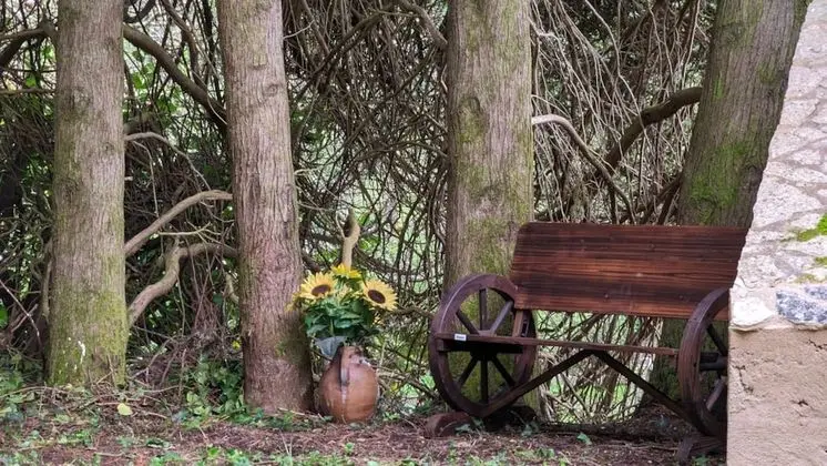 Traditional Stüdyo Süit, 1 Çift Kişilik Yatak, Özel Banyo, Kısmi Göl Manzaralı
