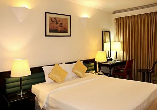 Deluxe Tek Büyük Yataklı Oda, Şehir Manzaralı