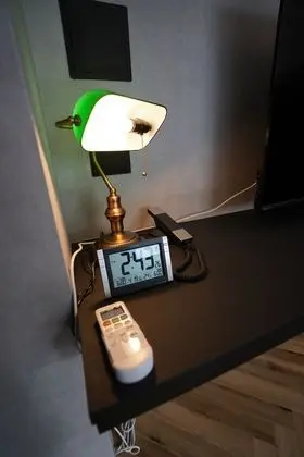 Business Tek Büyük Yataklı Oda, 1 Çift Kişilik Yatak, Sigara İçilmez (Compact)