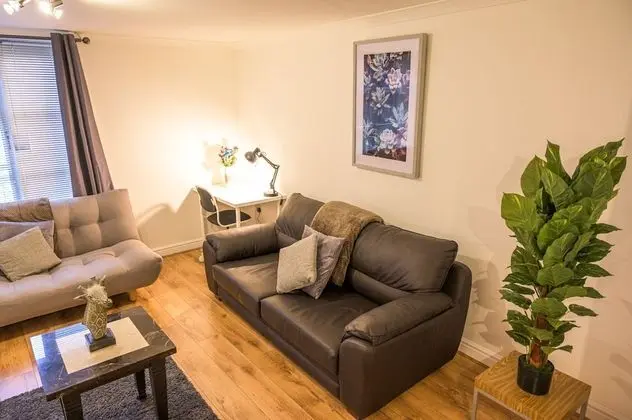 Apart Daire, 1 Yatak Odası (Flat 14)