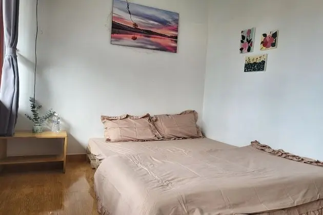 Tek Büyük Yataklı Oda (Cosy Homestay)