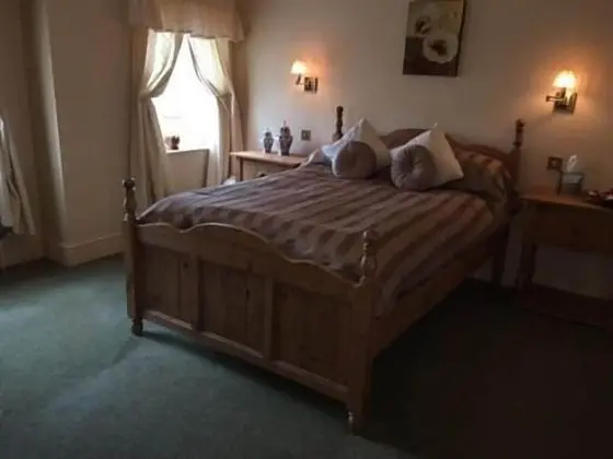 Superior Tek Büyük Yataklı Oda, Banyolu/Duşlu (Room 3)