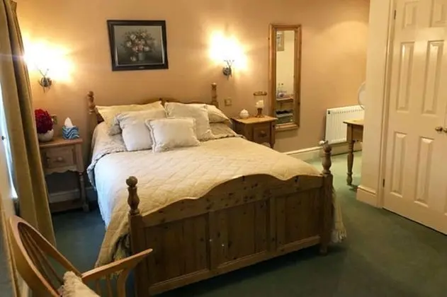 Tek Büyük Yataklı Oda, Banyolu/Duşlu (Room 4)