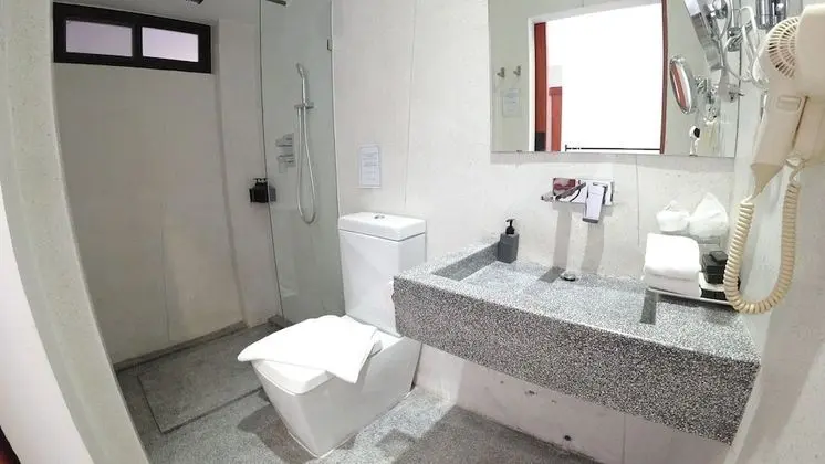 Superior Tek Büyük Yataklı Oda
