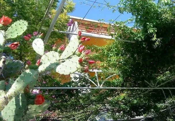 Apart Daire (Bor - with great view - A1(4+2)Garbin)