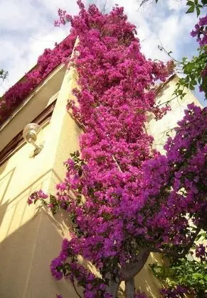 Apart Daire (Bor - with great view - A1(4+2)Garbin)