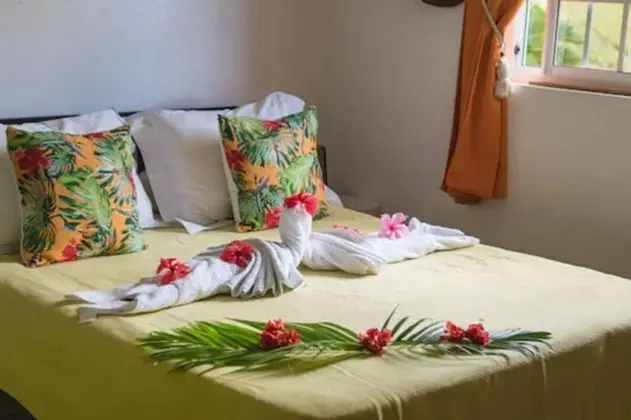 Oda, Ortak Banyo, Bahçe Manzaralı (Chambre Tiare)