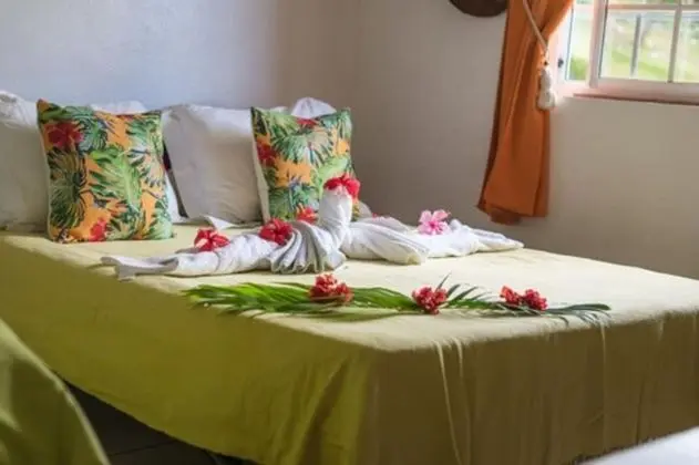 Oda, Ortak Banyo, Bahçe Manzaralı (Chambre Tiare)