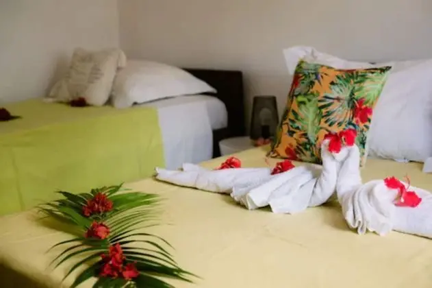 Oda, Ortak Banyo, Bahçe Manzaralı (Chambre Tiare)
