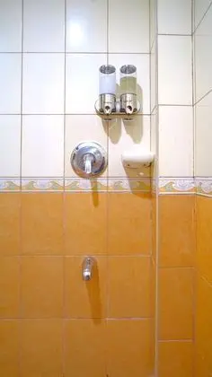 Süit