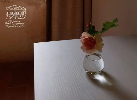 Standard Tek Büyük Yataklı Oda, 1 Büyük (Queen) Boy Yatak, Bahçe Manzaralı