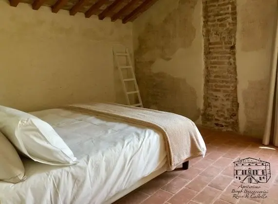 Standard Tek Büyük Yataklı Oda, 1 Büyük (Queen) Boy Yatak, Bahçe Manzaralı