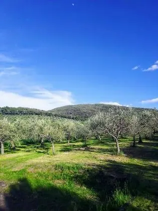 Ev, 1 Yatak Odası, Balkon