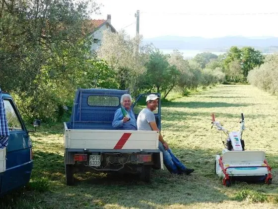 Ev, 1 Yatak Odası, Balkon