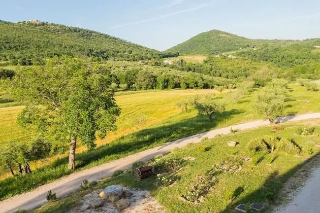 Apart Daire, 1 Yatak Odası (Olio)