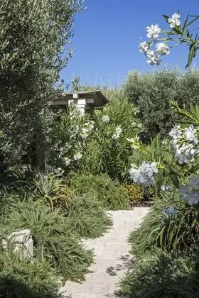 Casa, garden area (Casa Bella)