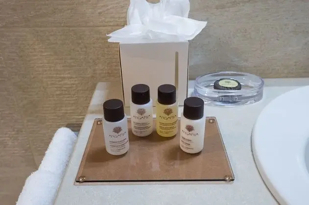 Superior Tek Büyük Yataklı Oda, Teras