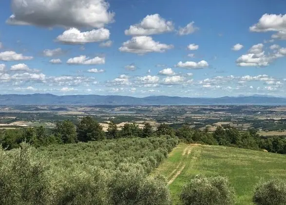 Luxury Apart Daire, 3 Yatak Odası