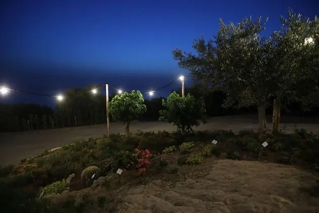 Deluxe Oda, Engellilere Uygun, Bahçe Manzaralı