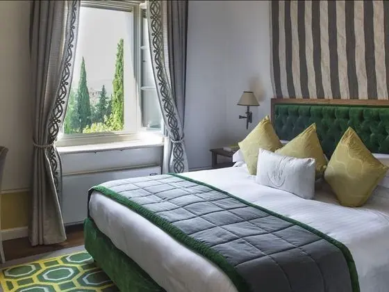 Deluxe Tek Büyük Yataklı Oda (Premium)