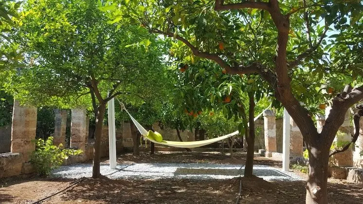Superior Süit, 1 Yatak Odası