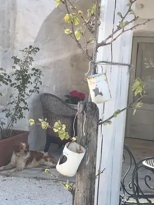 Romantic Tek Büyük veya İki Ayrı Yataklı Oda (Venere)