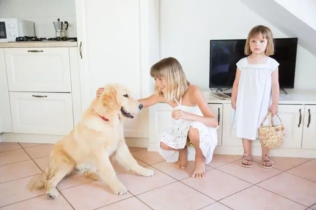 Apart Daire, 2 Yatak Odası, Asma Kat