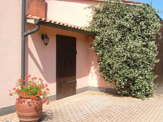 Apart Daire, 1 Yatak Odası, Mutfak, Bahçeli