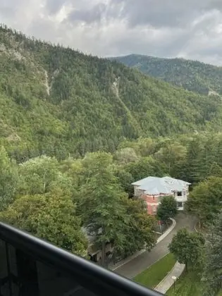 Deluxe İki Ayrı Yataklı Oda, 1 Yatak Odası, Dağ Manzaralı