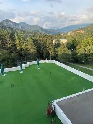Deluxe İki Ayrı Yataklı Oda, 1 Yatak Odası, Dağ Manzaralı