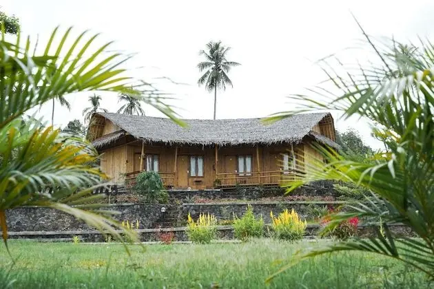 Pring Gombong