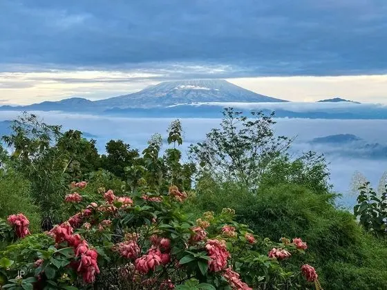 Deluxe Villa, 2 Yatak Odası, Kişiye Özel Havuzlu