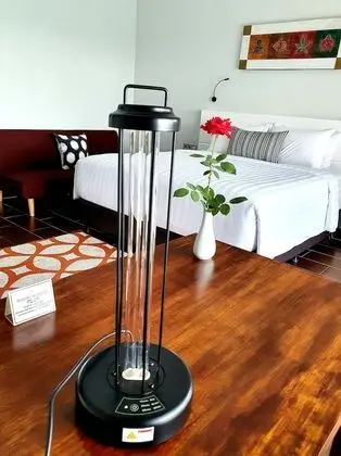 Deluxe Oda, 1 En Büyük (King) Boy Yatak, Kişiye Özel Havuzlu, Dağ Manzaralı