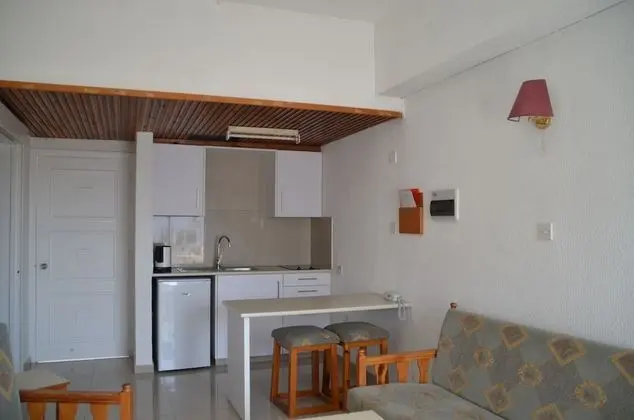 Apart Daire, 1 Yatak Odası