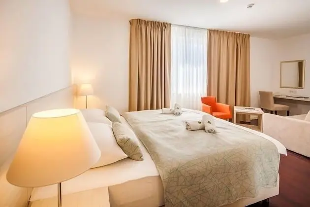 Superior Tek Büyük Yataklı Oda