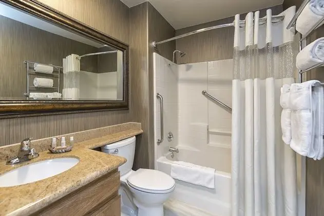 Deluxe Oda, 1 En Büyük (King) Boy Yatak