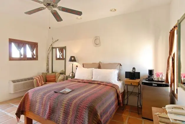 Cholla Standard Queen