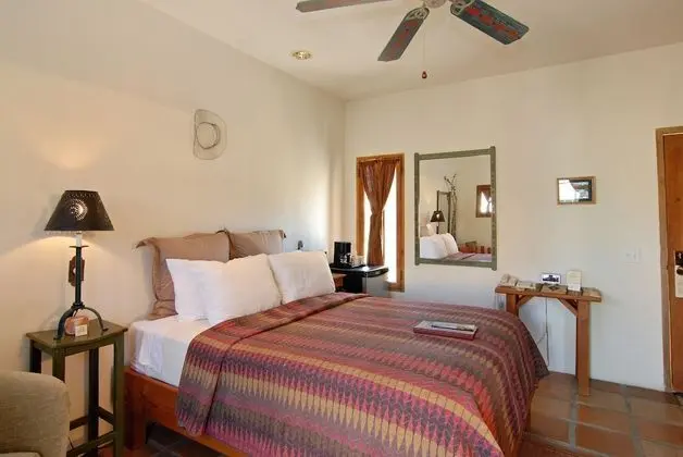 Cholla Standard Queen