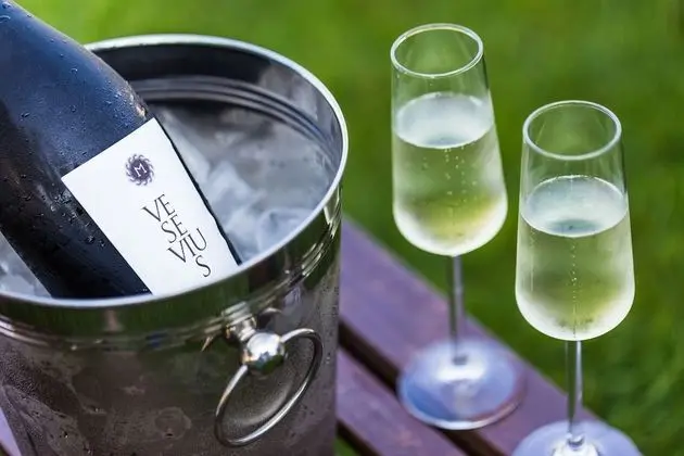 Superior Tek Büyük Yataklı Oda (with Garden)