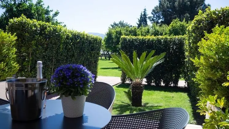 Superior Tek Büyük Yataklı Oda (with Garden)