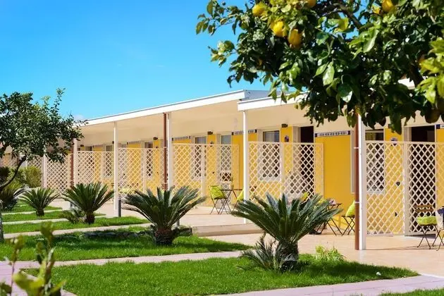 Superior Tek Büyük Yataklı Oda (with Garden)